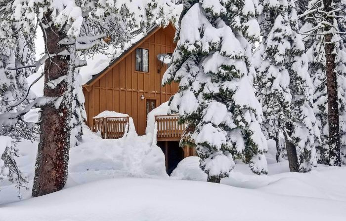 Near Hiking and Skiing Bear Valley Cabin!