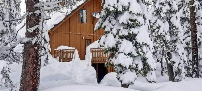 Near Hiking and Skiing Bear Valley Cabin! Hotels in Bear Valley