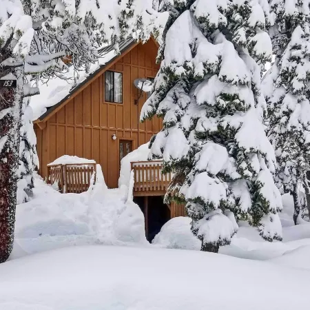 Near Hiking and Skiing Bear Valley Cabin!