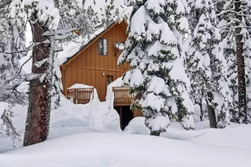 Near Hiking and Skiing Bear Valley Cabin! - Parking