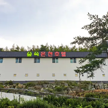 Changwon Bukmyeon Forest Hot Spring Hotel