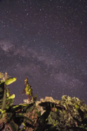 Chuncho Lodge Hotels in Tambopata