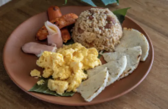 ホテル スタンザ デル マール のホテル