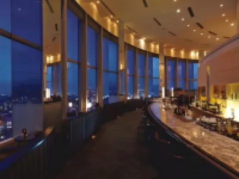 新苫小牧王子飯店 和 苫小牧市酒店