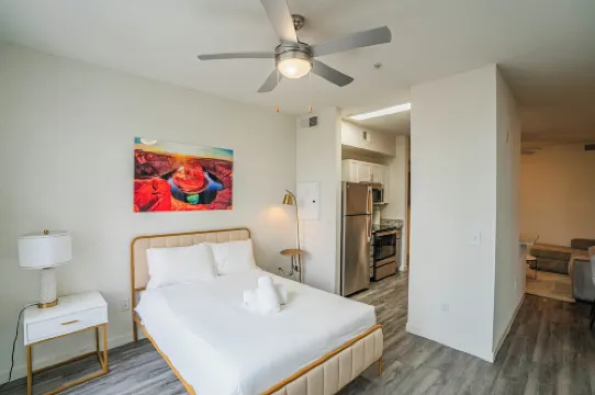 แอคเซส 3010