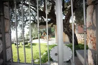 The Cerulean Villa. the Concord of Blue and Green! - 2-نجوم