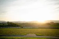 BIEI BREEZE RESERVE YOI