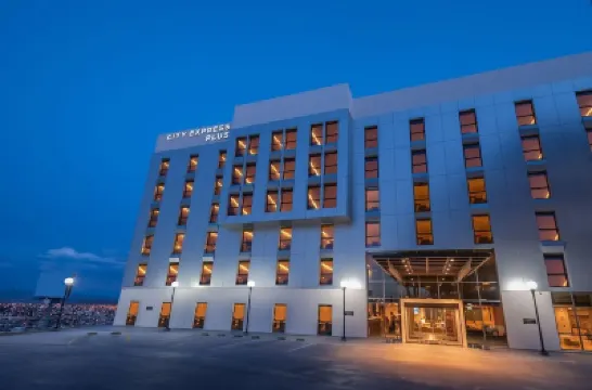 Highland Chihuahua Hotel di 