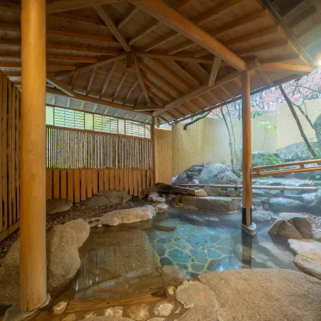 Akizuki Spa Ryokan Seiryuan