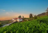 Magnolia by Nature Resorts & Stays