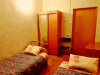 Almaz Guest House Hotels near The Kunstkamera