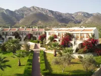 The Olive Tree Hotel Hotels in Catalkoy