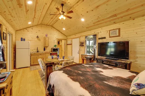 Romantic Wine Country Cabin Near Fredericksburg - 3-Star