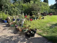 Studio-LickeyHills-NearAttractions-Garden-1 Pet Ok - Holiday Apartments