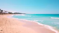Eco Lodges Chalets Tropicales Playa Macao - Wifi
