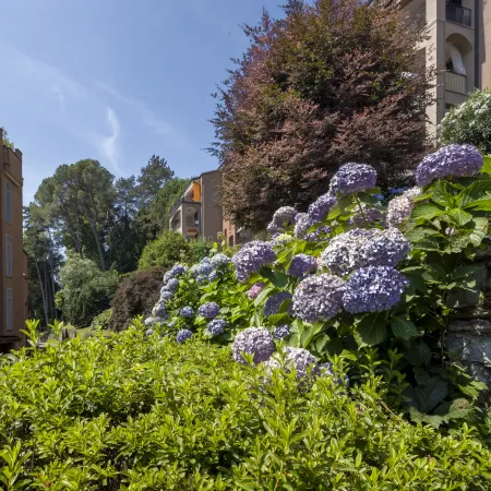 Residenza del Pascià