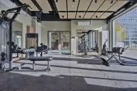 Noli Mokotow - Gym