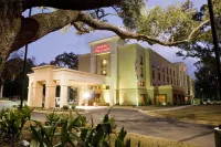 Hampton Inn & Suites by Hilton Mobile Airport University Area - parking