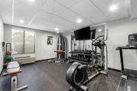 Spark by Hilton Kimball - Gym