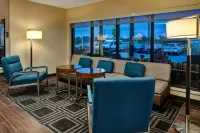 底特律貝爾維爾TownePlace Suites飯店 - 寵物友善