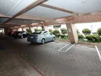 パレスイン豊田 - 駐車場