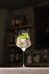設計酒店的會員，蒙福特的Torre de Palma葡萄酒酒店 - 酒吧