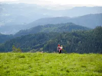 Tillisch - 3 tähden