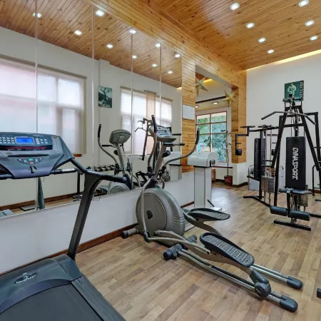 Bravia Hotel Manali Inn