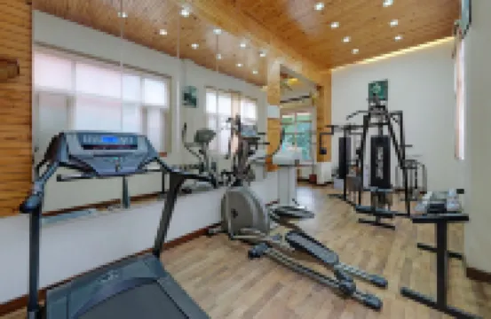 Bravia Hotel Manali Inn