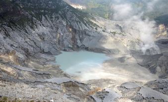 Sari Alam Hot Spring and Resort Hotel