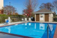 Comfort Inn Smithfield Near I-95 - Pools