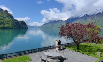 Chalet Aaregg Brienz