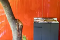 채움카라반리조트 용소계곡 주변 호텔