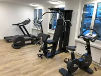 Hotel Euler Basel - gimnasio
