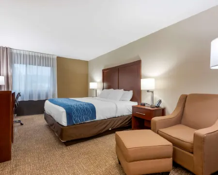 Comfort Inn Binghamton I-81 Hotels in Chenango