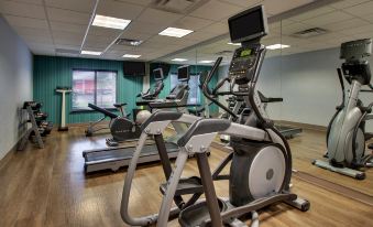 Holiday Inn Express & Suites Chicago North-Waukegan-Gurnee