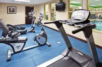 Holiday Inn Express & Suites NEWPORT SOUTH by IHG - Gym