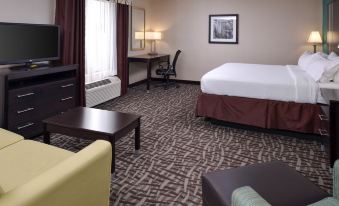 Holiday Inn Express & Suites Youngstown (N. Lima/Boardman)