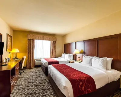 Comfort Suites McAllen Airport and la Plaza Mall Hotels in Hidalgo County