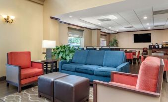 Comfort Inn & Suites Suwanee - Sugarloaf