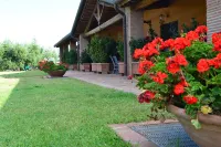 Podere San Giuseppe Hotels near Tenuta Podere Grattamacco