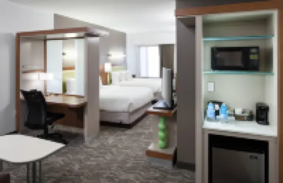 奧蘭多海洋世界SpringHill Suites酒店