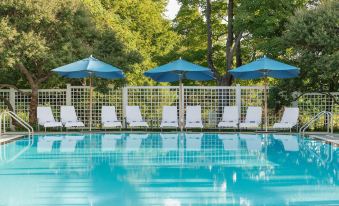 a beautiful outdoor pool area with blue umbrellas , white lounge chairs , and trees surrounding the scene at Inn at Perry Cabin