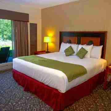 Jackson Lake Lodge Rooms