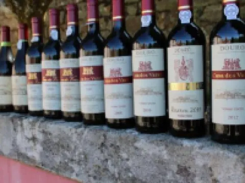 Casa Dos Varais, Manor House Hotels in Cambres