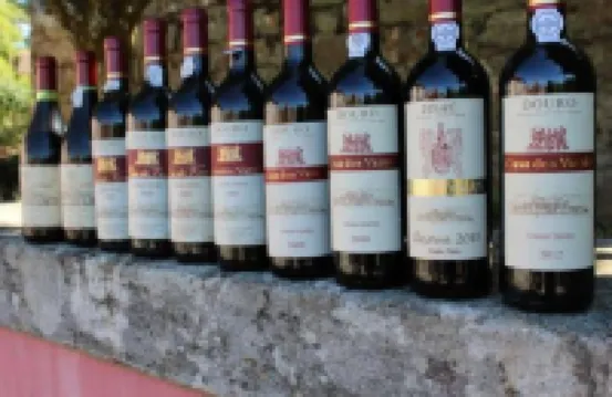 Casa Dos Varais, Manor House