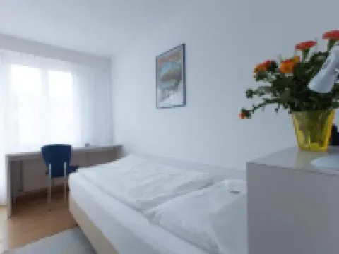 ホテル アルファ ルツェルンのホテル