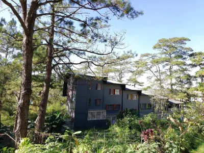 87 Guesthouse Hotels in 