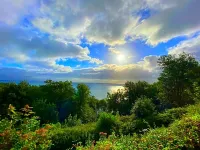 Rooms at Babbacombe - Beach