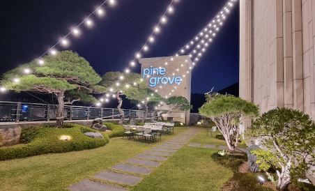 Pinegrove Hotel - Housity